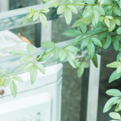 半岛综合娱乐app