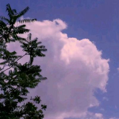 大小单双正规平台下载